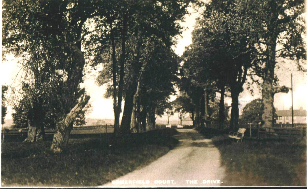 summerfield court driveway towards main road in the 1900's